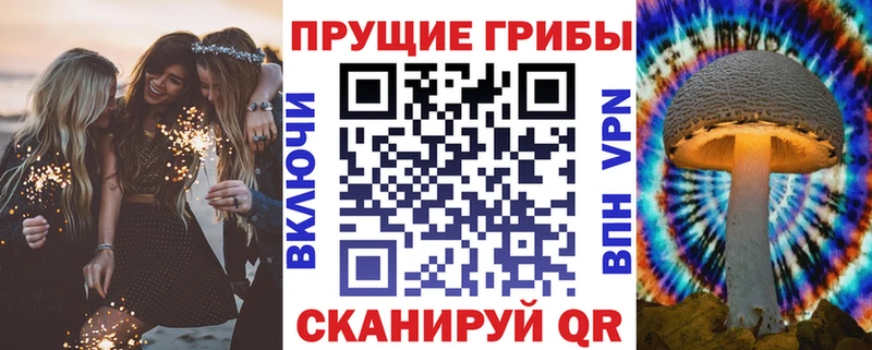 Псилоцибиновые грибы мухоморы  цены наркотик  Нижний Ломов 